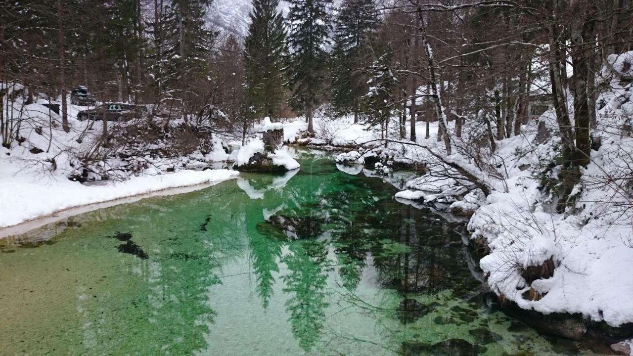 Apartment Amazing View Bohinj Zewnętrze zdjęcie